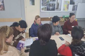 სენაკი: პროექტის შეჯამება