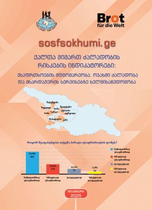Индикаторы рисков насилия в отношении женщин: безопасность, домашнее насилие и доступ к службам поддержки