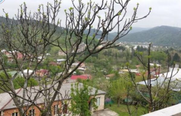 Женщины и дети в солнечном доме