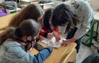 "New Education" - about youth work